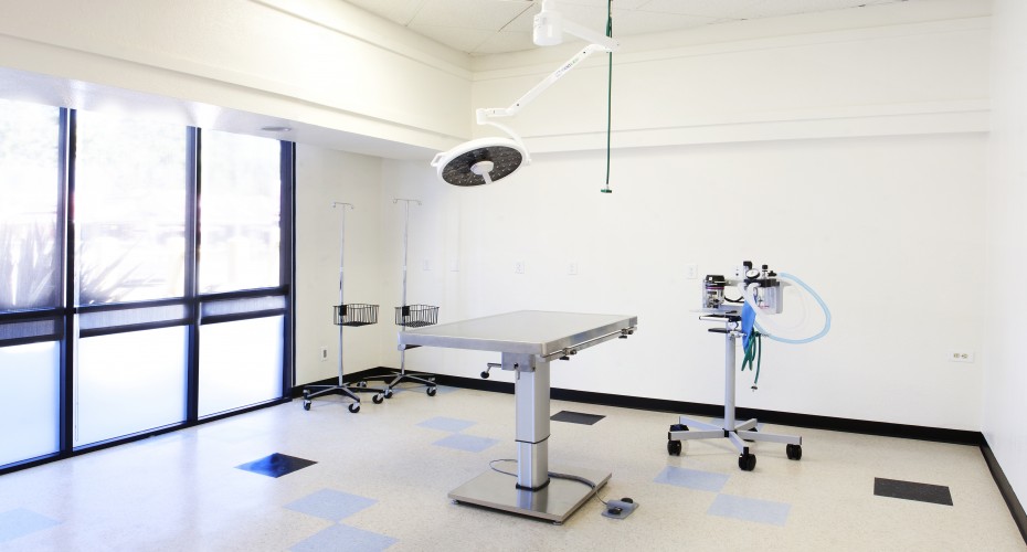 Archer Building Group, Inc. Pasadena Pets Veterinary Hospital