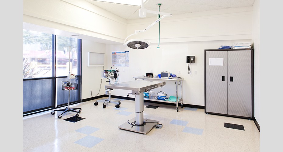 Archer Building Group, Inc. Pasadena Pets Veterinary Hospital